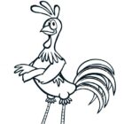 Desenho para colorir - Galo Carijó