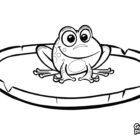 Desenho para colorir - Sapo