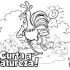 Desenho para colorir - Natureza